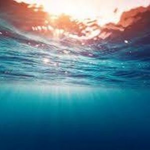 Meet your Posher, Tess